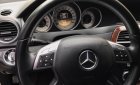 Mercedes-Benz C250  1.8 AT  2012 - Chính chủ bán ô tô Mercedes C250 1.8 AT đời 2012, màu trắng