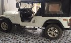 Jeep CJ 1992 - Bán ô tô Jeep CJ năm 1992, màu trắng xe nhập, giá tốt 70 triệu