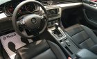 Volkswagen Passat S 2015 - Volkswagen Passat S đen, nâu nhập khẩu từ Đức - Giá tốt nhất hệ thống, LH Long 0933689294