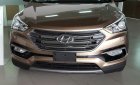 Hyundai Santa Fe 2016 - Bán Hyundai Santa Fe màu nâu, có sẵn