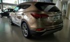 Hyundai Santa Fe 2016 - Bán Hyundai Santa Fe màu nâu, có sẵn