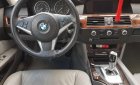 BMW 5 Series 530i 2009 - Cần bán xe BMW 5 Series 530i đời 2009, màu bạc, nhập khẩu