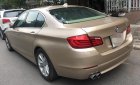 BMW 5 Series 528i 2010 - Bán xe BMW 5 Series 528i đời 2010, màu vàng, nhập khẩu nguyên chiếc