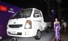 Daehan Teraco 2017 - Bán xe tải Hyundai Deahan từ 1.9 tấn đến 2.4 tấn
