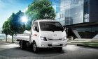 Daehan Teraco 2017 - Cần bán xe tải Daehan Tera 190, giá 300tr