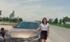 Hyundai Elantra 1.6 MT 2017 - Cần bán Hyundai Elantra 1.6 MT đời 2017, màu nâu
