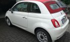 Fiat 500 2017 - Bán ô tô Fiat 500 sản xuất 2017, màu trắng, xe nhập