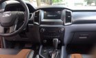 Ford Ranger Wildtrak 3.2 2017 - Cần bán xe Ford Ranger Wildtrak 3.2 2017, màu bạc, nhập khẩu