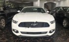 Ford Mustang Ecoboost 2.3L 2016 - Cần bán xe Ford Mustang Ecoboost 2.3L sản xuất 2016, màu trắng, xe nhập