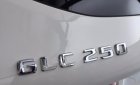 Mercedes-Benz GLK Class GLC 250 2017 - Cần bán xe Mercedes GLC 250 đời 2017, nhập khẩu