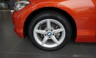 BMW 1 Series  118I AT 2017 - Bán ô tô BMW 1 Series 118I AT đời 2017, xe nhập