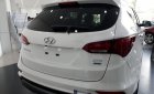 Hyundai Santa Fe CKD 2017 - Cần bán xe Hyundai Santa Fe CKD đời 2017, màu trắng