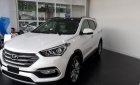 Hyundai Santa Fe CKD 2017 - Cần bán xe Hyundai Santa Fe CKD đời 2017, màu trắng