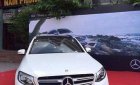 Mercedes-Benz GLC-Class GLC300 2017 - Cần bán xe Mercedes GLC300 đời 2017, màu trắng, xe nhập