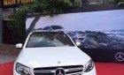 Mercedes-Benz GLC-Class GLC300 2017 - Bán ô tô Mercedes GLC300 2017, màu trắng, nhập khẩu