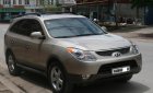 Hyundai Veracruz 3.8AT 2017 - Bán Hyundai Veracruz đời 2007, nhập khẩu, 686tr