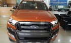 Ford Ranger Wildtrak 3.2 AT 4x4 2017 - Bán Ranger Wildtrak 3.2 AT 4x4 2017 với Navigation, xe giao ngay, hỗ trợ vay 80%