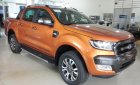 Ford Ranger Wildtrak 3.2 AT 4x4 2017 - Bán Ranger Wildtrak 3.2 AT 4x4 2017 với Navigation, xe giao ngay, hỗ trợ vay 80%