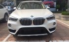 BMW X1  xDrive 2017 - Bán BMW X1 xDrive đời 2017, màu trắng, nhập khẩu