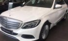 Mercedes-Benz C250 2017 - Mercedes C250 Exclusive 2017 tốc độ trong vùng bị giới hạn