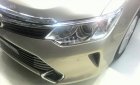 Toyota Camry E 2017 - Cần bán xe Toyota Camry E đời 2018 đủ màu, giá tốt, hỗ trợ vay lên đến 90%, liên hệ 0911.404.101