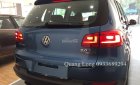 Volkswagen Tiguan 2.0 TSI 2016 - Volkswagen Tiguan 2.0 TSI nhập Đức. LH Hotline 0933689294