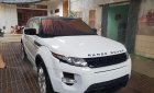 LandRover Range rover Evoque Dynamic 2012 - Bán LandRover Range Rover Evoque sản xuất 2012, màu trắng, nhập khẩu