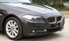 BMW 1 2017 - Cần bán BMW 1 đời 2017, màu nâu, nhập khẩu