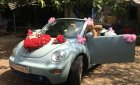 Volkswagen Beetle   2007 - Bán Volkswagen Beetle đời 2007, xe nhập