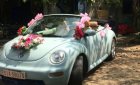 Volkswagen Beetle 2007 - Cần bán xe Volkswagen Beetle đời 2007, nhập khẩu  