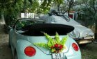 Volkswagen Beetle 2007 - Cần bán xe Volkswagen Beetle đời 2007, nhập khẩu  