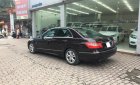 Mercedes-Benz E class E250 AT 2010 - Cần bán Mercedes E250 năm 2010, màu nâu