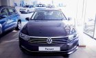 Volkswagen Passat Bluemotion 2018 - Bán Volkswagen Passat Bluemotion đời 2018, nhập khẩu