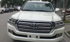Toyota Land Cruiser VX 2018 - Bán Toyota Land Cruiser năm 2018 màu trắng, 3 tỷ 650 triệu, nhập khẩu nguyên chiếc