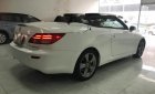 Lexus IS 250C 2011 - Bán Lexus IS 250C đời 2011, màu trắng, nhập khẩu