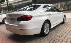 BMW 5 Series  520i 2014 - Bán BMW 5 Series 520i năm 2014, màu trắng