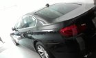 BMW 5 Series 523i 2010 - Cần bán lại xe BMW 5 Series 523i đời 2010, màu đen, nhập khẩu ít sử dụng