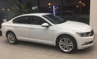 Volkswagen Passat Bluemotion 2017 - Xe Volkswagen Passat Bluemotion, Sedan 5 chỗ hạng D, xe Đức nhập khẩu nguyên chiếc. LH: 0933 365 188