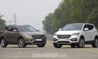 Hyundai Santa Fe 2017 - Bán xe Hyundai Santa Fe đời 2017, màu trắng, nhập khẩu chính hãng