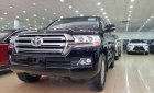 Toyota Land Cruiser VX 2018 - Cần bán xe Toyota Land Cruiser VX đời 2018, màu đen, xe nhập