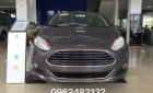 Ford Fiesta 1.5L AT Titanium  2017 - Bán Ford Fiesta Titanium màu nâu hổ phách tại An Đô Ford, khuyến mại lớn, giao ngay, hỗ trợ trả góp 80%