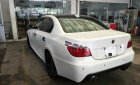 BMW 5 Series 530i 2008 - Bán ô tô BMW 5 Series 530i năm sản xuất 2008, màu trắng, nhập khẩu nguyên chiếc xe gia đình, 595 triệu