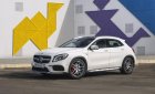 Mercedes-Benz GLA-Class GLA 45 AMG 2018 - Bán Mercedes AMG GLA 45 - Xe SUV Sport - liên hệ đặt xe: 0919 528 520