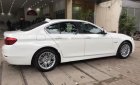 BMW 5 Series 520i 2014 - Bán BMW 5 Series 520i đời 2014, màu trắng, xe nhập như mới