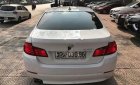 BMW 5 Series 523i 2010 - Bán BMW 5 Series 523i sản xuất 2010, màu trắng, nhập khẩu nguyên chiếc giá cạnh tranh