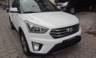 Hyundai Creta 2017 - Bán Hyundai Creta năm sản xuất 2017, màu trắng, nhập khẩu nguyên chiếc