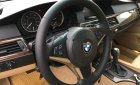 BMW 5 Series 530i 2007 - Bán BMW 5 Series 530i sản xuất 2007, nhập khẩu