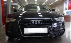 Audi A5 2012 - Cần bán Audi A5 sản xuất năm 2012, nhập khẩu