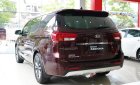 Kia VT250 DATH 2018 - Bán xe Kia Sedona 2018, hỗ trợ trả góp 80%, thời gian vay 8 năm