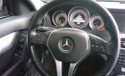 Mercedes-Benz C class C200  2012 - Bán Mercedes Benz C200 2012, màu đen, nhập khẩu